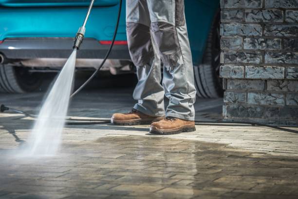 Best Gutter Cleaning  in Algonquin, IL