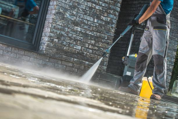 Best Soft Washing  in Algonquin, IL