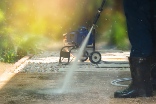 Best Fleet Vehicle Washing  in Algonquin, IL
